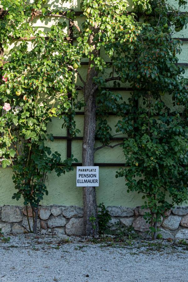 Aberseeblick Pension Ellmauer Saint Wolfgang المظهر الخارجي الصورة